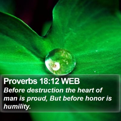 Proverbs 18:12 WEB Bible Verse Image