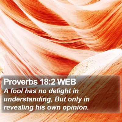 Proverbs 18:2 WEB Bible Verse Image