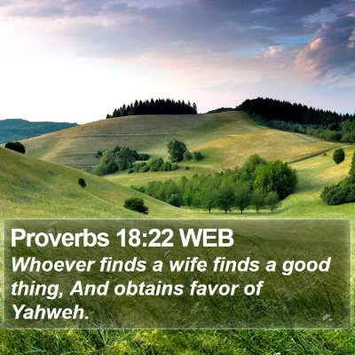 Proverbs 18:22 WEB Bible Verse Image