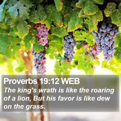 Proverbs 19:12 WEB Bible Verse Image