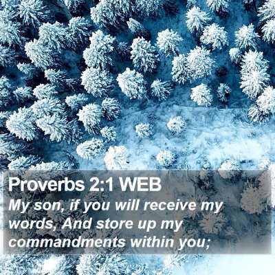 Proverbs 2:1 WEB Bible Verse Image