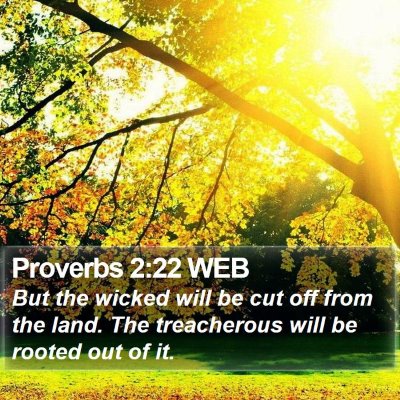 Proverbs 2:22 WEB Bible Verse Image