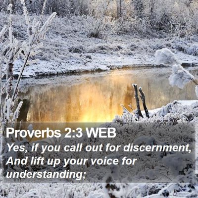 Proverbs 2:3 WEB Bible Verse Image