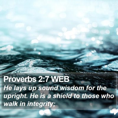 Proverbs 2:7 WEB Bible Verse Image
