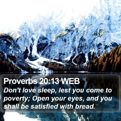 Proverbs 20:13 WEB Bible Verse Image