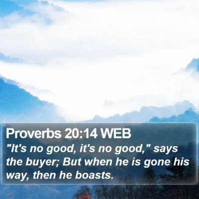 Proverbs 20:14 WEB Bible Verse Image