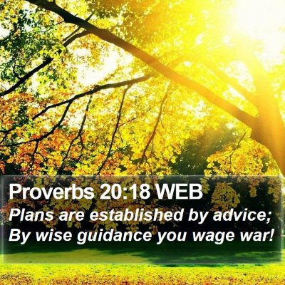 Proverbs 20:18 WEB Bible Verse Image