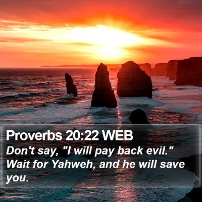 Proverbs 20:22 WEB Bible Verse Image