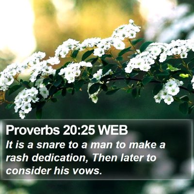 Proverbs 20:25 WEB Bible Verse Image