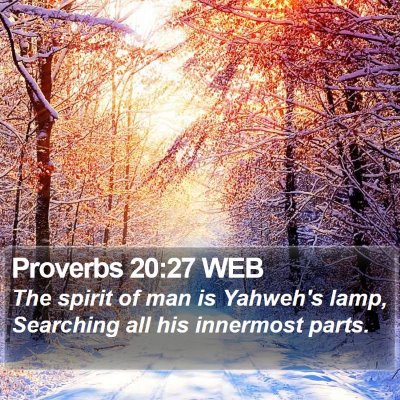 Proverbs 20:27 WEB Bible Verse Image