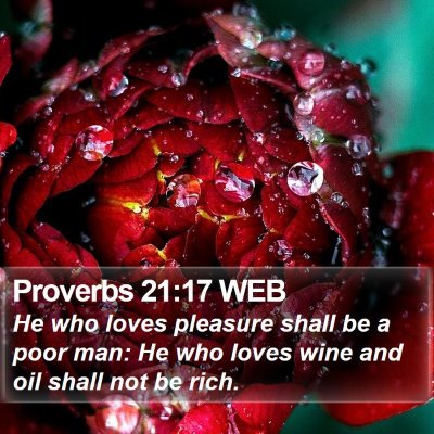 Proverbs 21:17 WEB Bible Verse Image