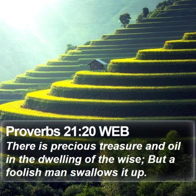 Proverbs 21:20 WEB Bible Verse Image