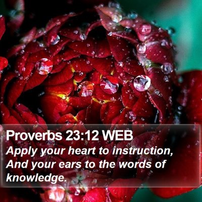 Proverbs 23:12 WEB Bible Verse Image
