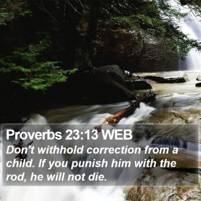 Proverbs 23:13 WEB Bible Verse Image