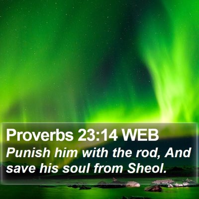 Proverbs 23:14 WEB Bible Verse Image