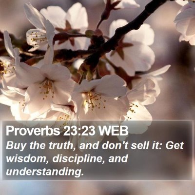 Proverbs 23:23 WEB Bible Verse Image