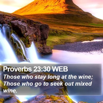 Proverbs 23:30 WEB Bible Verse Image