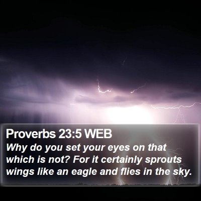 Proverbs 23:5 WEB Bible Verse Image