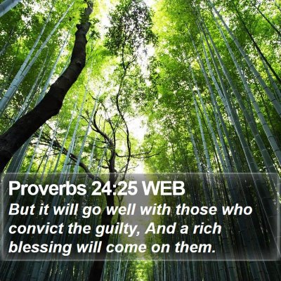 Proverbs 24:25 WEB Bible Verse Image