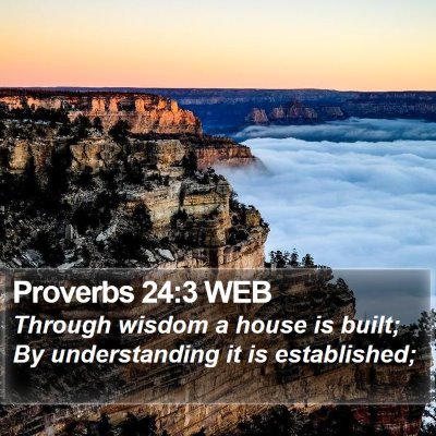 Proverbs 24:3 WEB Bible Verse Image