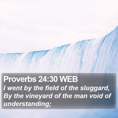 Proverbs 24:30 WEB Bible Verse Image