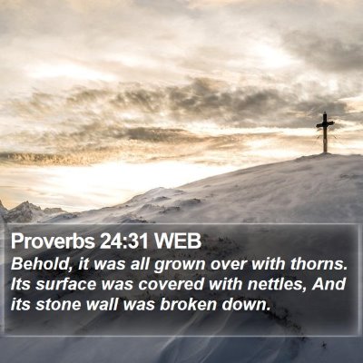 Proverbs 24:31 WEB Bible Verse Image