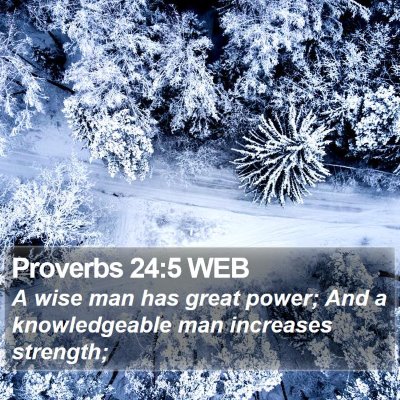 Proverbs 24:5 WEB Bible Verse Image