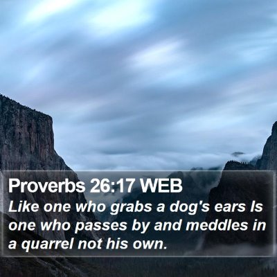Proverbs 26:17 WEB Bible Verse Image