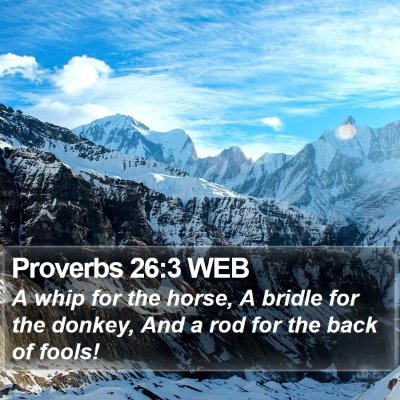 Proverbs 26:3 WEB Bible Verse Image