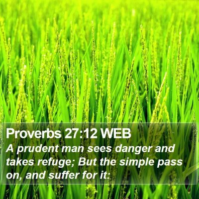 Proverbs 27:12 WEB Bible Verse Image