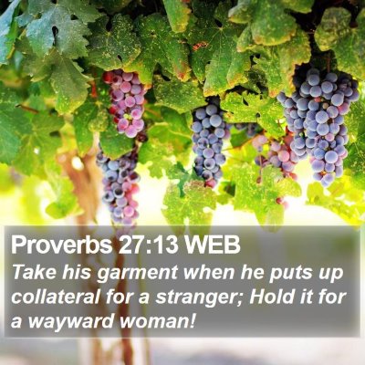 Proverbs 27:13 WEB Bible Verse Image