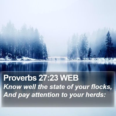 Proverbs 27:23 WEB Bible Verse Image