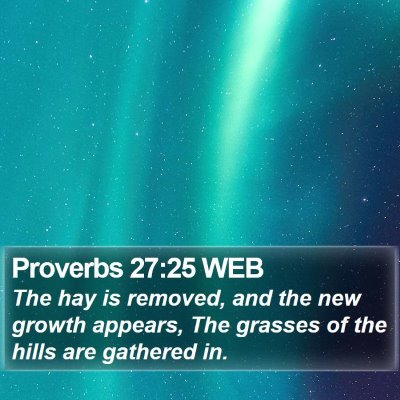 Proverbs 27:25 WEB Bible Verse Image