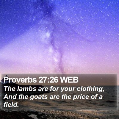Proverbs 27:26 WEB Bible Verse Image