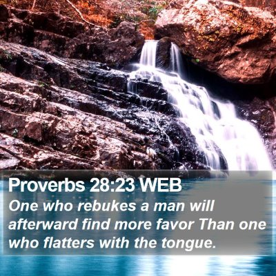 Proverbs 28:23 WEB Bible Verse Image