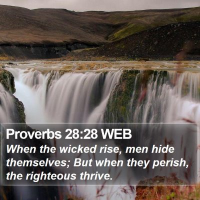 Proverbs 28:28 WEB Bible Verse Image