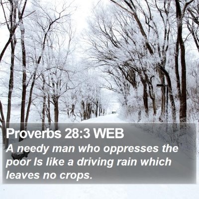 Proverbs 28:3 WEB Bible Verse Image
