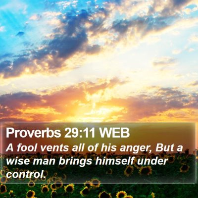 Proverbs 29:11 WEB Bible Verse Image