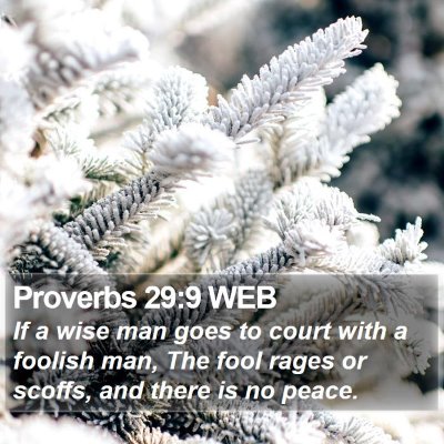 Proverbs 29:9 WEB Bible Verse Image
