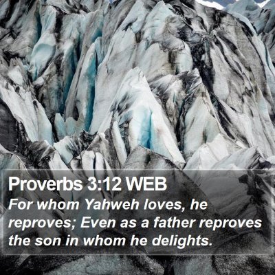 Proverbs 3:12 WEB Bible Verse Image