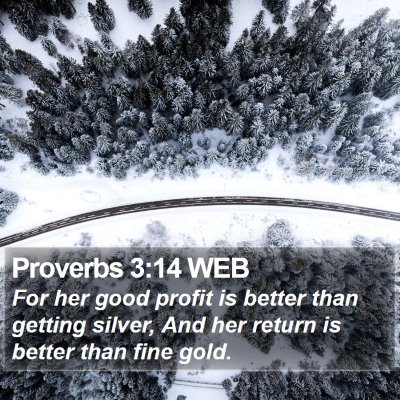 Proverbs 3:14 WEB Bible Verse Image
