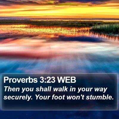Proverbs 3:23 WEB Bible Verse Image