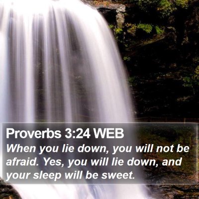 Proverbs 3:24 WEB Bible Verse Image