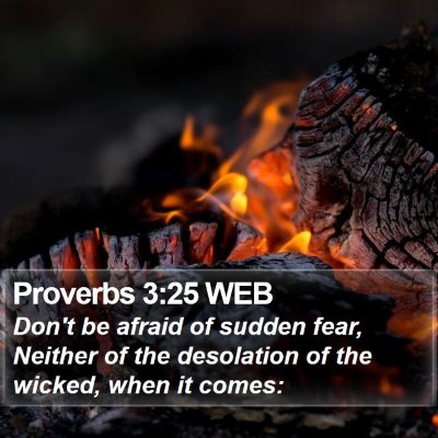 Proverbs 3:25 WEB Bible Verse Image