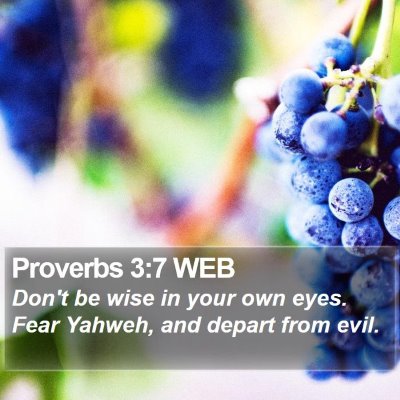 Proverbs 3:7 WEB Bible Verse Image
