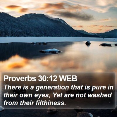 Proverbs 30:12 WEB Bible Verse Image