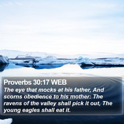 Proverbs 30:17 WEB Bible Verse Image
