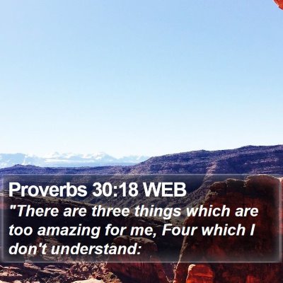 Proverbs 30:18 WEB Bible Verse Image