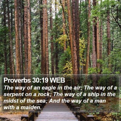 Proverbs 30:19 WEB Bible Verse Image