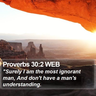 Proverbs 30:2 WEB Bible Verse Image